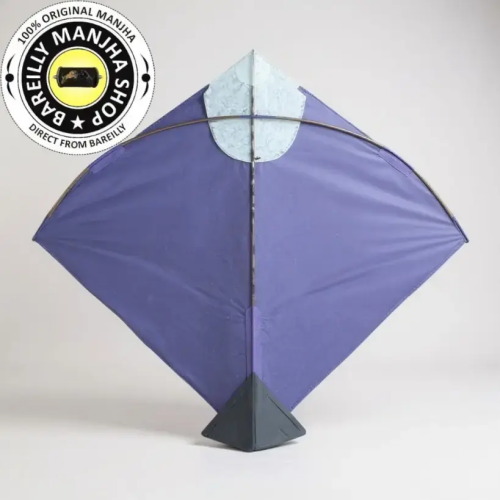 Buy Moradabad Pauni Kites Pack 20 Online Image